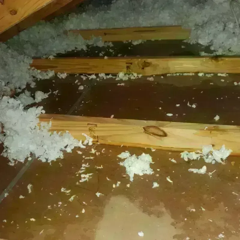 Attic Water Damage in Portland, IN